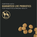 Purina Pro Plan Puppy Large Breed Chicken & Rice Formula with Probiotics Dry Dog Food