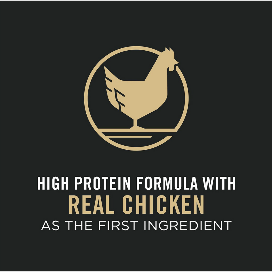 Purina Pro Plan Puppy Large Breed Chicken & Rice Formula with Probiotics Dry Dog Food