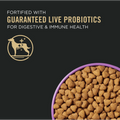 Purina Pro Plan All Life Stages Performance 30/20 Chicken & Rice Formula Dry Dog Food