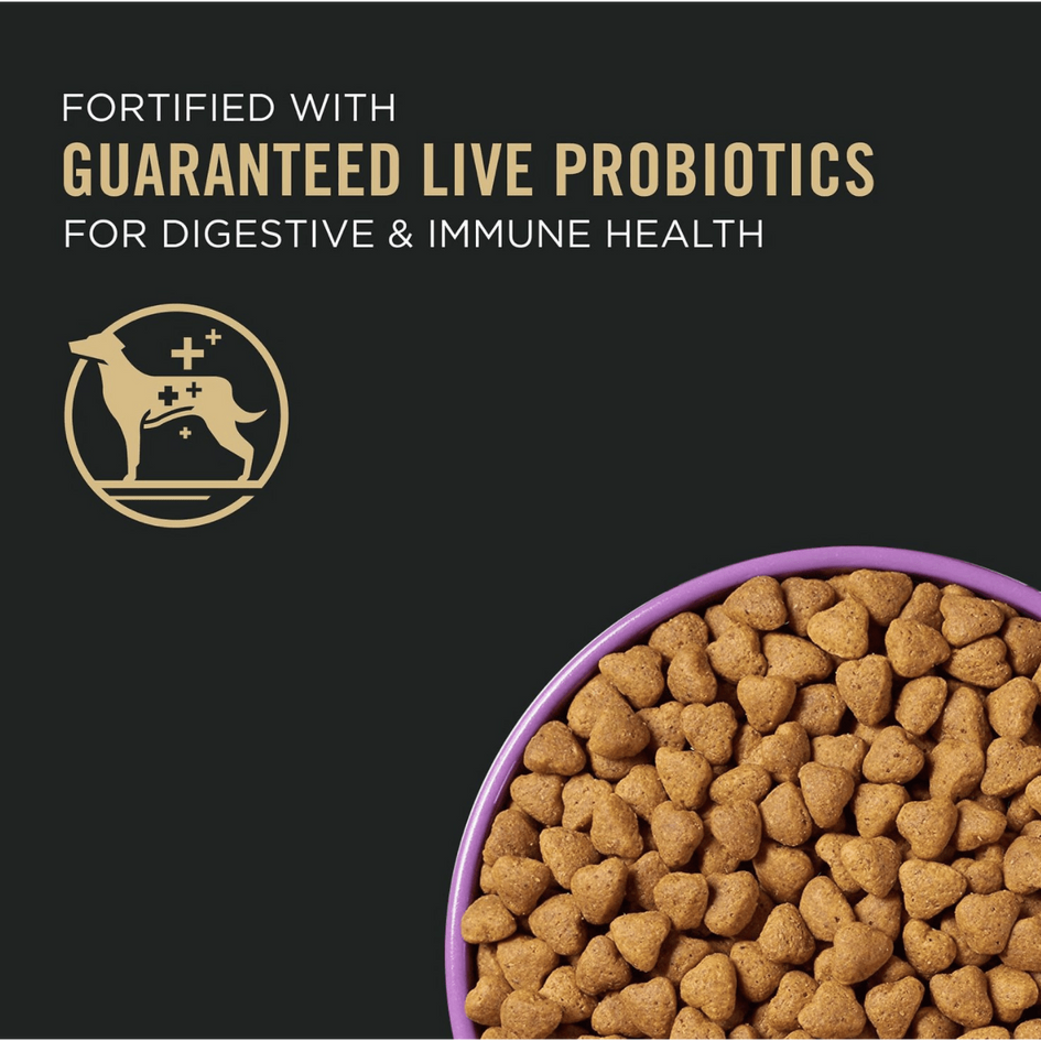 Purina Pro Plan All Life Stages Performance 30/20 Chicken & Rice Formula Dry Dog Food