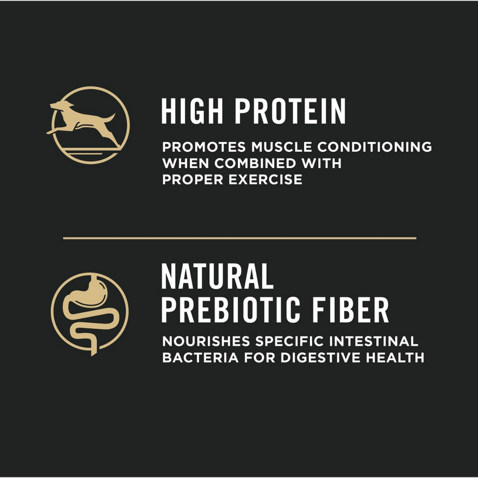 Purina Pro Plan Adult Large Breed Chicken & Rice Formula Dry Dog Food