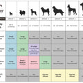 Console Dog Car Seat with High Back