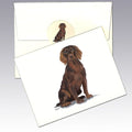 Boykin Spaniel Note Cards