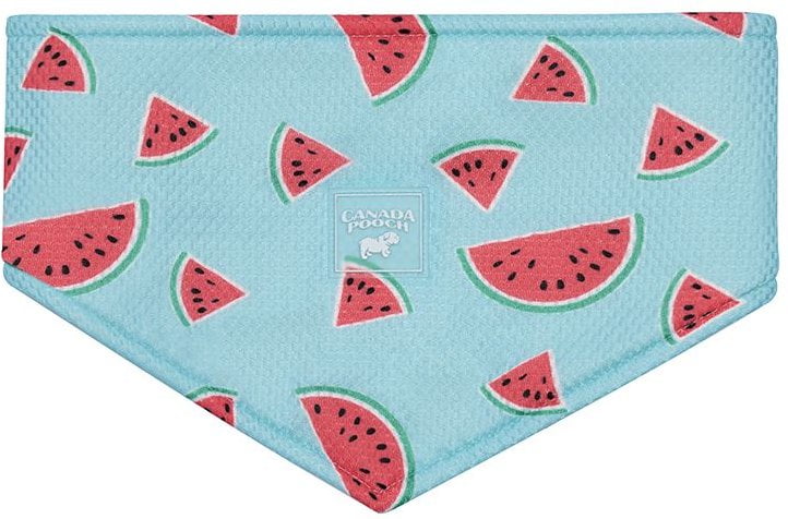 Canada Pooch Cooling Dog Bandana, Watermelon