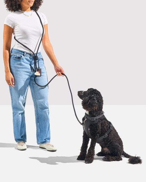 Wild One Hands-Free Adjustable Rope Dog Leash, Standard