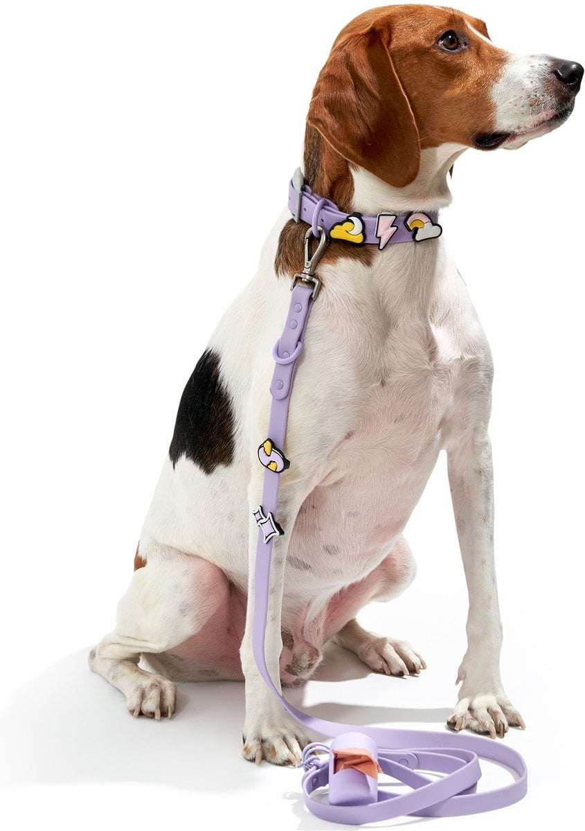 Wild One Leash & Collar Flair Silicone Dog ID Tag, Standard, 5 count