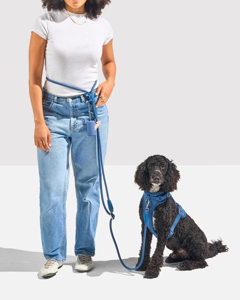 Wild One Hands-Free Adjustable Rope Dog Leash, Standard