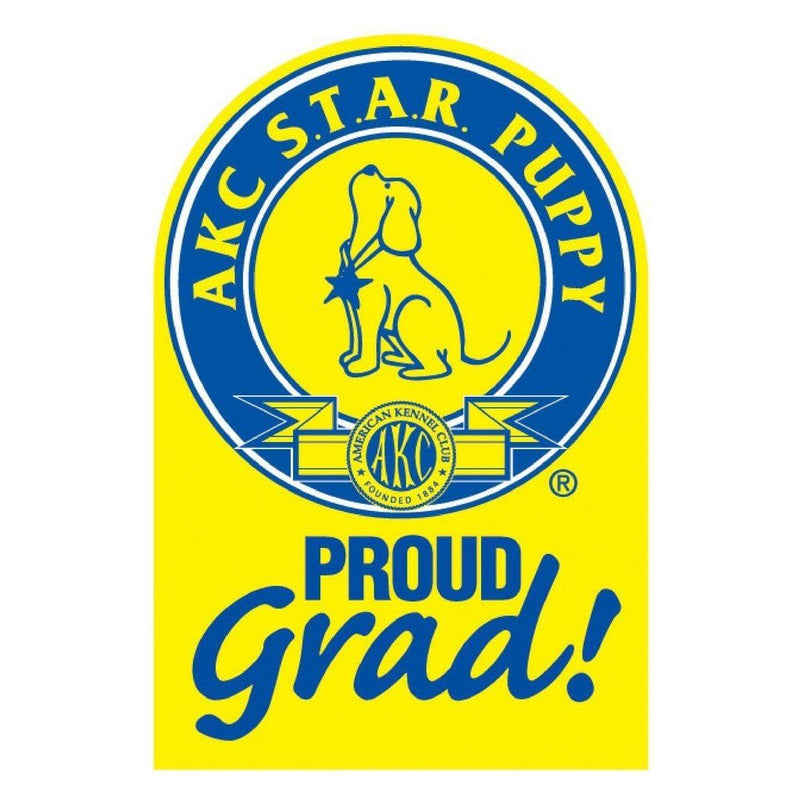 S.T.A.R Decal: Proud Grad!