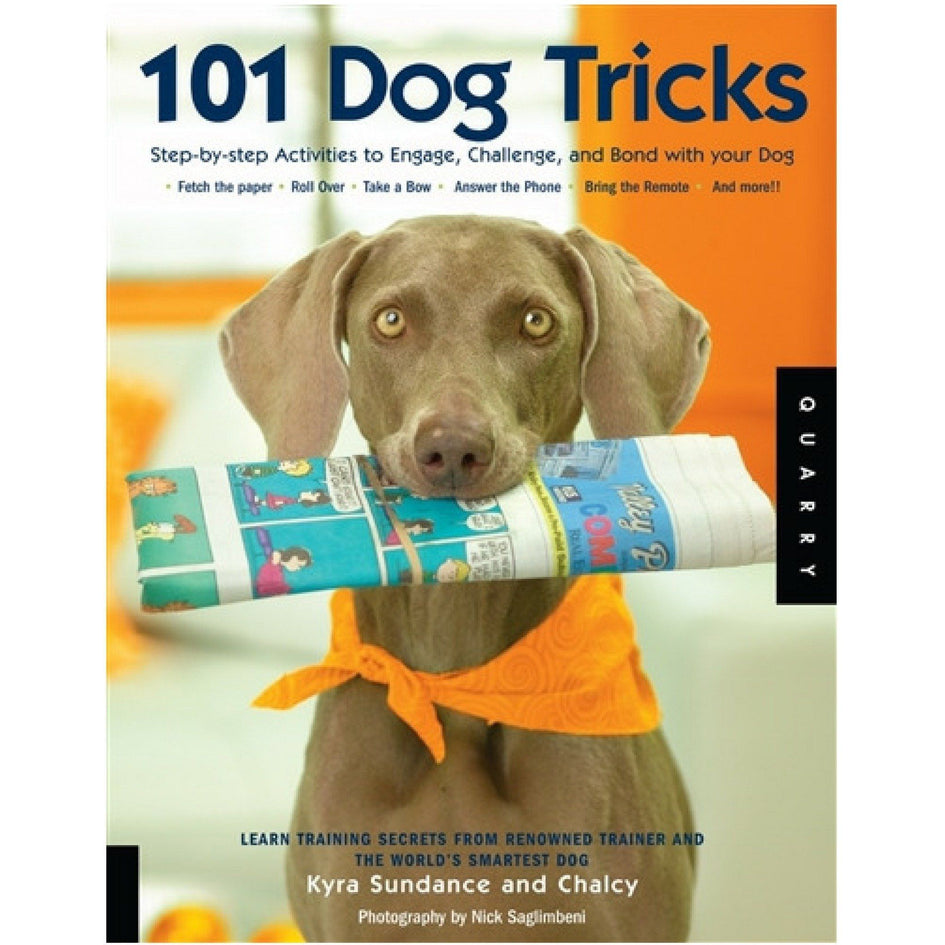 101 Dog Tricks (Paperback)