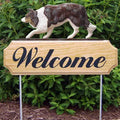 Michael Park Dog In Gait Welcome Stake Border Collie