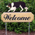 Michael Park Dog In Gait Welcome Stake Border Collie