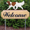 Michael Park Dog In Gait Welcome Stake Cavalier King Charles Spaniel