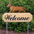 Michael Park Dog In Gait Welcome Stake Dachshund