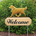 Michael Park Dog In Gait Welcome Stake Golden Retriever