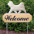 Michael Park Dog In Gait Welcome Stake Havanese
