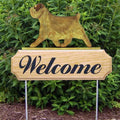 Michael Park Dog In Gait Welcome Stake Norfolk Terrier