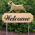 Michael Park Dog In Gait Welcome Stake Norfolk Terrier