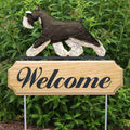 Michael Park Dog In Gait Welcome Stake Schnauzer