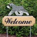 Michael Park Dog In Gait Welcome Stake Schnauzer