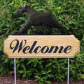 Michael Park Dog In Gait Welcome Stake Schnauzer