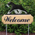 Michael Park Dog In Gait Welcome Stake Schnauzer