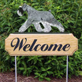 Michael Park Dog In Gait Welcome Stake Schnauzer