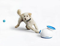 iFetch Interactive Ball Launcher for Dogs