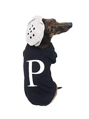 Salt & Pepper Dog Costume