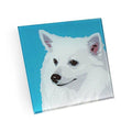 American Eskimo Dog Hand Crafted Glass Dog Coasters