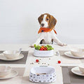 PETKIT Fresh Smart Digital Pet Bowl - White