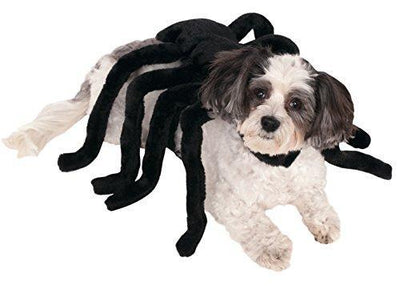 Spider Dog Costume