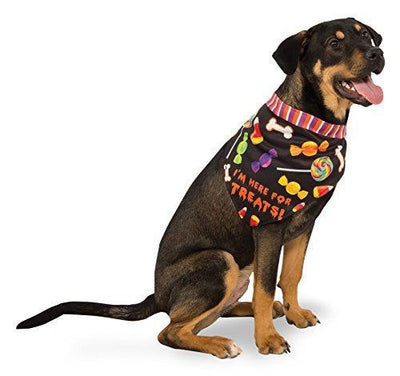 Here for the Treats Dog Bandana