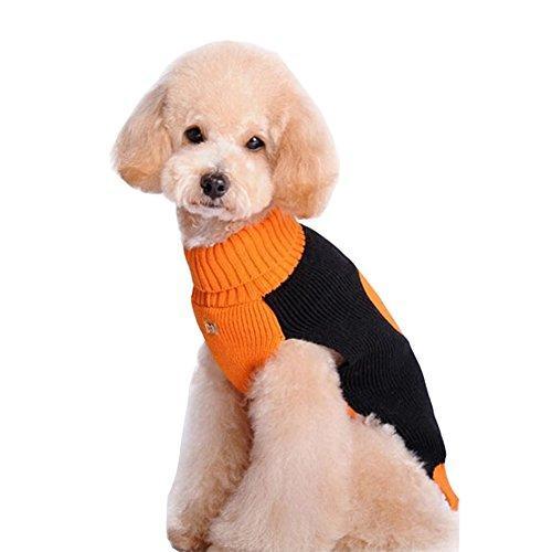Halloween Pumpkin Dog Sweater