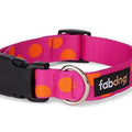 Nylon Polka Dot Dog Collar