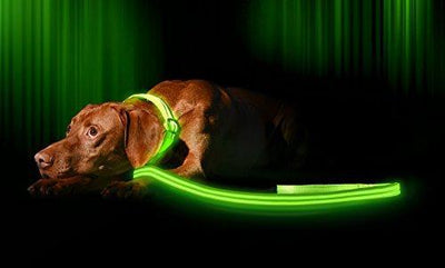 LED Dog Leash