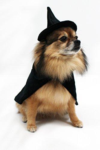 Halloween Witch Cape and Hat Dog Costume