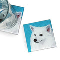 American Eskimo Dog Hand Crafted Glass Dog Coasters