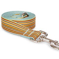 Nylon Mini Stripe Dog Lead