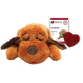 Smart Pet Love Snuggle Puppy