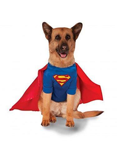 Superman Big Dog Costume