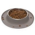 Stainless Steel Dog Feeder