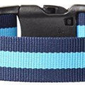 Nylon Classic Stripe Dog Collar