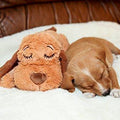 Smart Pet Love Snuggle Puppy