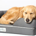 PetFusion Memory Foam Dog Bed