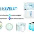 Eversweet Water Purifier