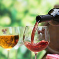Magnetic Dog Wine Charms