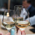 Magnetic Dog Wine Charms