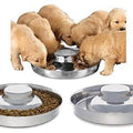 Stainless Steel Puppy Feeding Dog Bowl