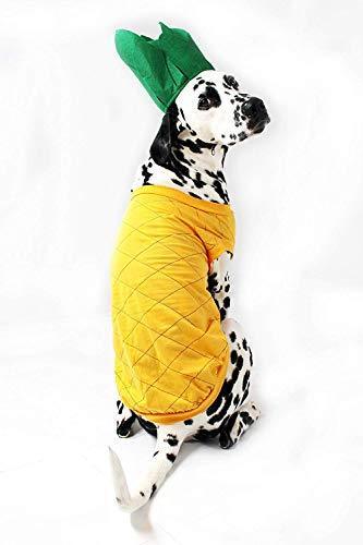 Pineapple Dog Costume