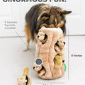 Hide a Squirrel Interactive Puzzle Plush Dog Toy